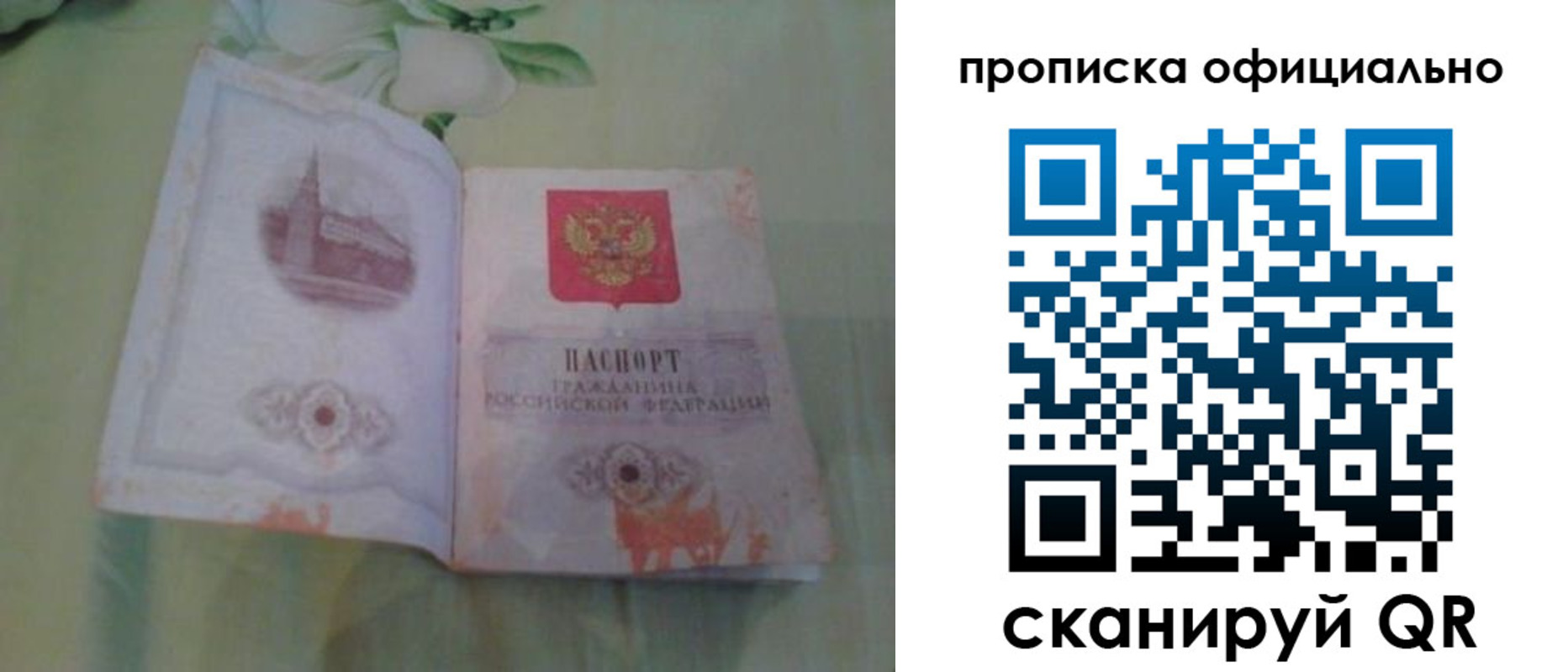 где прописаться в Лузе